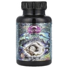Dragon Herbs, Жемчуг, 500 мг, 100 капсул