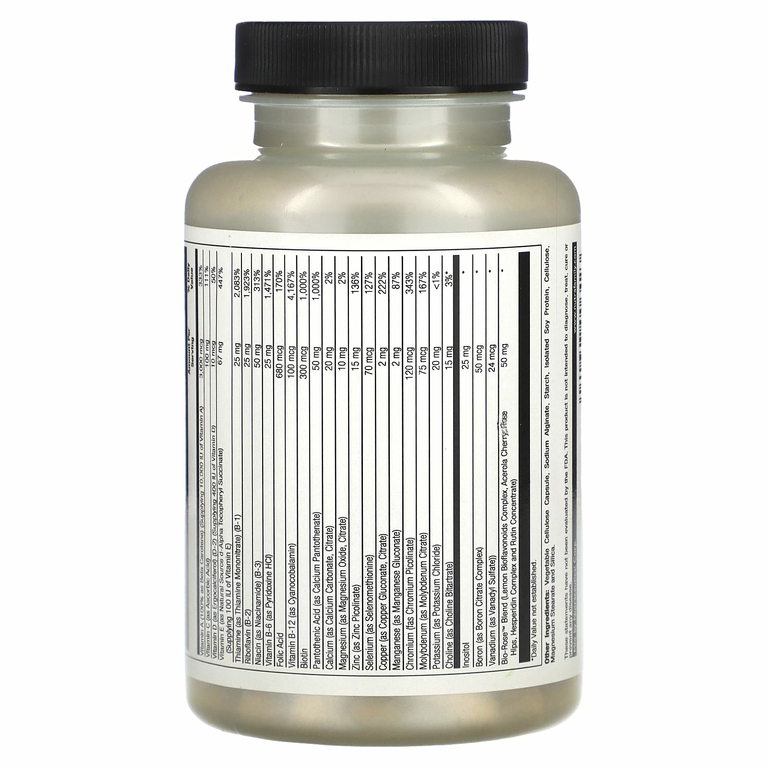 Nature's Life, One Daily Multiple, 60 вегетарианских капсул
