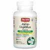 Jarrow Formulas, Vegan Jarro-Dophilus Plus FOS, 300 растительных капсул