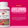 Natural Factors, экстракт виноградных косточек GrapeSeedRich®, 100 мг, 90 вегетарианских капсул