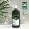 Avalon Organics, Шампунь для объема, розмарин, 325 мл (11 жидких унций)