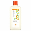 Andalou Naturals, Шампунь, глубокое увлажнение, для мягкости, гладкости и блеска, «Аргановое масло и масло ши», 340 мл (11,5 жидк. унций)