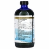 Nordic Naturals, Омега-3 для домашних животных, 473 мл (16 жидких унций)