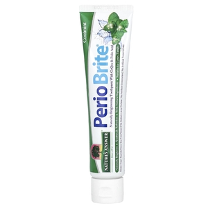 Nature's Answer, PerioBrite®, зубная паста с ксилитолом, холодная мята, 113,4 г (4 унции)
