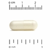 California Gold Nutrition, молозиво, 240 растительных капсул