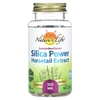 Nature's Life, Экстракт хвоща Silica Power, 300 мг, 60 вегетарианских капсул