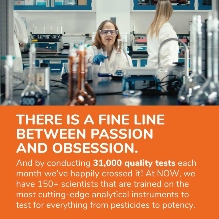 NOW Foods, Таблетки Eve™, высококачественные мультивитамины для женщин, 90 таблеток