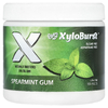 Xyloburst, Жевательная резинка с ксилитолом, мятный вкус, 5,29 унции (150 г), 100 штук.