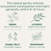 Traditional Medicinals, Organic Smooth Move®, перечная мята сенна, без кофеина, 16 упакованных чайных пакетиков, 32 г (1,13 унции)