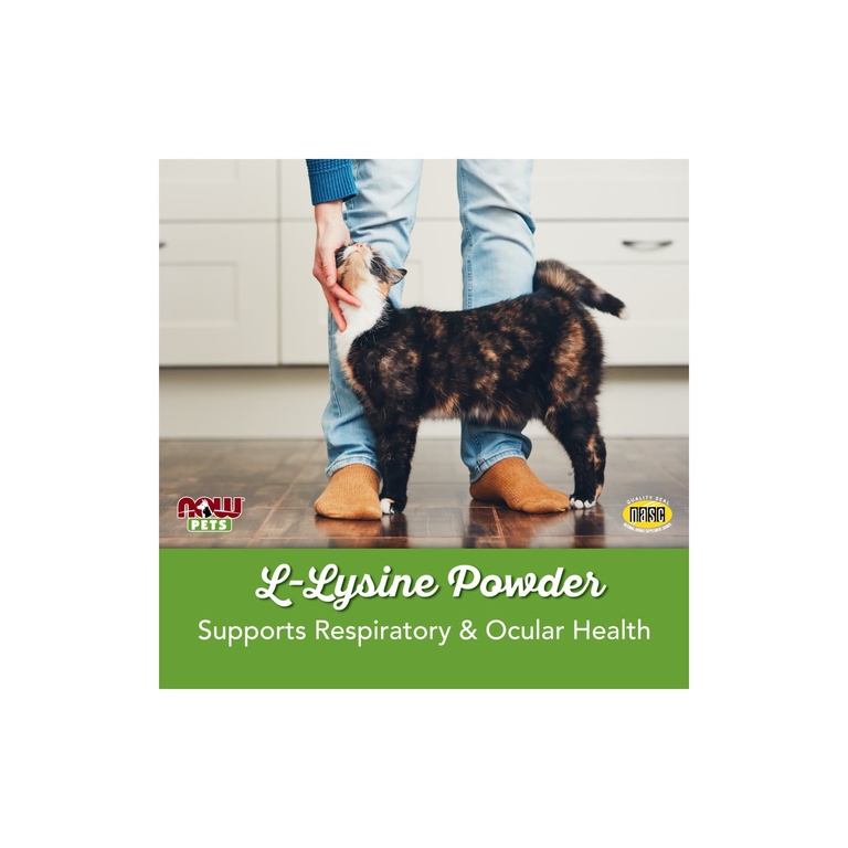 NOW Foods, Now Pets, L-лизин для кошек, 226,8 г (8 унций)