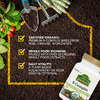 NaturesPlus, комплекс витаминов группы B, 60 растительных капсул