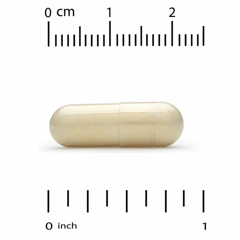 California Gold Nutrition, протеолитические ферменты широкого спектра, 90 растительных капсул с отсроченным высвобождением
