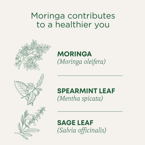 Traditional Medicinals, органическая моринга с перечной мятой и шалфеем, без кофеина, 16 чайных пакетиков, 24 г (0,85 унции)