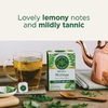 Traditional Medicinals, органическая моринга с перечной мятой и шалфеем, без кофеина, 16 чайных пакетиков, 24 г (0,85 унции)