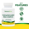 NaturesPlus, комплекс фосфатидилсерина и ДМАЭ, 60 капсул