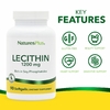 NaturesPlus, лецитин, 1200 мг, 90 капсул