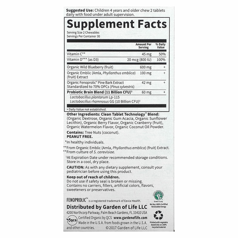 Garden of Life, Dr. Formulated Brain Health, внимание и концентрация для детей, вкус арбуза и ягод, 60 вкусных жевательных таблеток