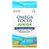 Nordic Naturals, Omega Focus Junior, для детей 6–18 лет, 120 мягких мини-таблеток
