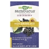 Nature's Way, Sambucus®, смесь для горячих напитков, стандартизированная бузина, мед, лимон и ягоды, 10 пакетиков по 0,18 унции