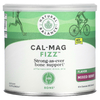 Natural Balance, Cal-Mag Fizz, смесь ягод, 492 г (17,4 унции) (Товар снят с продажи) 