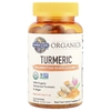 Garden of Life, MyKind Organics, куркума, противовоспалительные жевательные таблетки, 120 веганских жевательных таблеток
