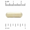 California Gold Nutrition, EuroHerbs, экстракт расторопши, качество Euromed, 175 мг, 180 растительных капсул