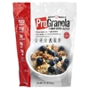 Julian Bakery, Pro Granola, арахисовая паста, 526 г (18,5 унции)