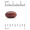 Lake Avenue Nutrition, витамин K2 (в виде менахинона-7), 50 мкг, 360 растительных капсул
