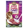 Nature's Path, EnviroKidz, органические хлопья Cheetah Chomps®, ягоды, 284 г (10 унций)