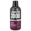 ProSupps, L-карнитин 3000 жидких порций, драконьи плоды, 16 жидк. унций (473 мл)