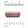 Lake Avenue Nutrition, пирролохинолинхинон, 20 мг, 60 растительных капсул