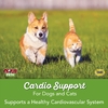 NOW Foods, Pets, добавка для кошек и собак для поддержки сердечно-сосудистой системы, 127 г (4,5 унции)